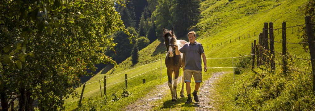 Urlaub mit Pferd im Bauernhof Hinterhub im Großarltal